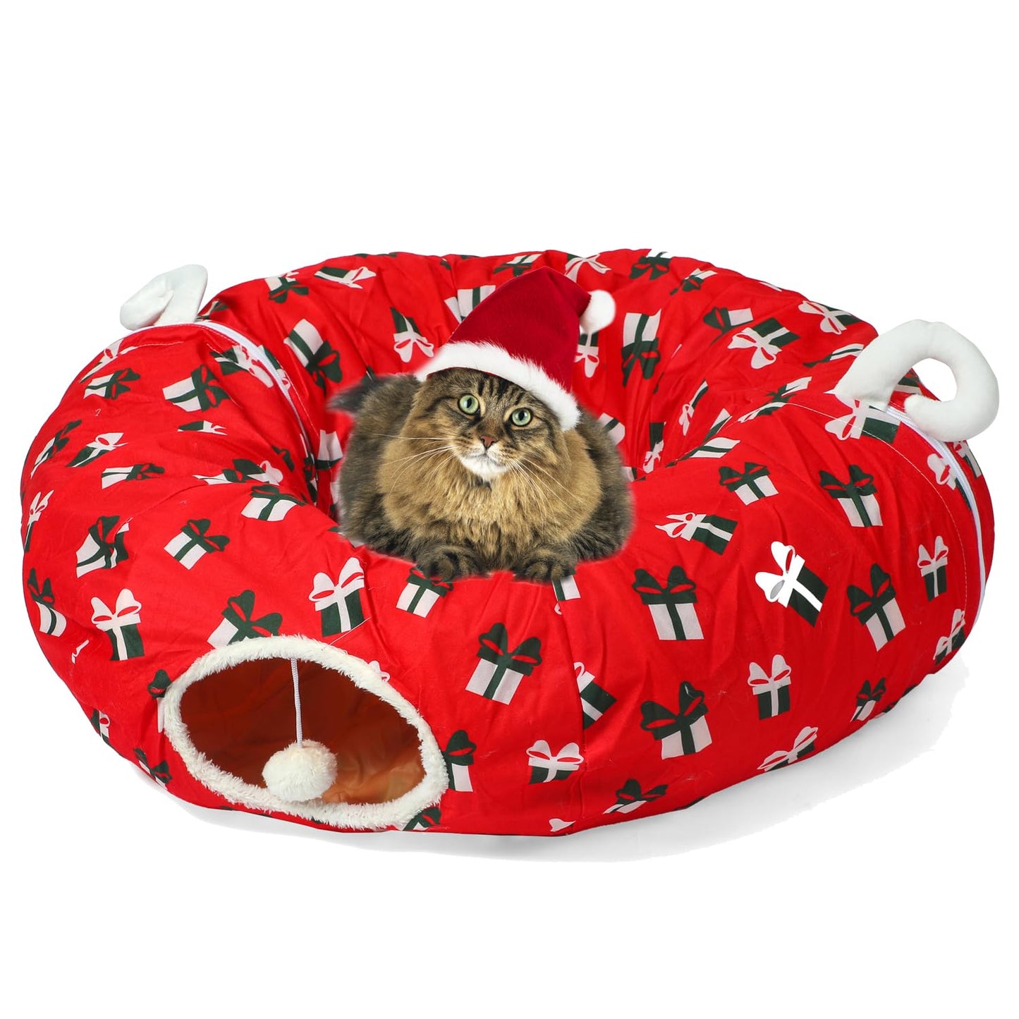 Kitty Tunnel