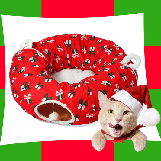 Kitty Tunnel